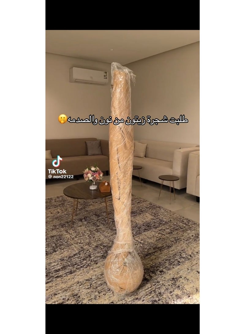 بيت الرواسم شجر زيتون مثمر مع اصيص اسود كبير بتصميم جذاب  اجعل منزلك اكثر اناقة مقاس 180 سم 150سم 220سم 100 سم - Image 3